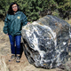 Image for article titled Where Do You Think The 'Wizard Rock' Was During Its Disappearance From the Arizona National Forest?